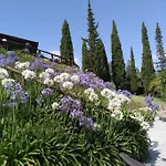 Douro Charming Chalet *