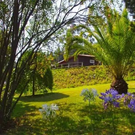 Douro Charming Chalet Melres