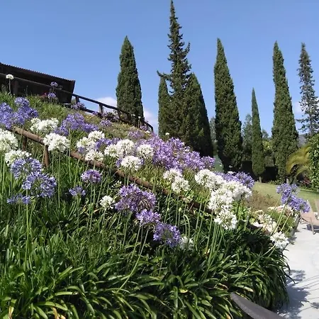 Douro Charming Horská chata *